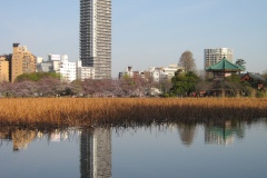 Giappone2009-05
