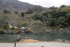 Giappone-2011-03