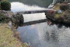 Giappone-2011-05