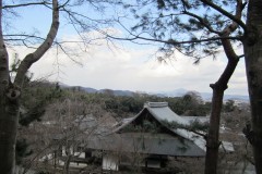 Giappone-2011-08