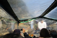 Giappone-2011-104